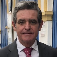 Martin Alonso Rotaeche