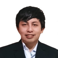 Diego Sebastian Obregon Castelo