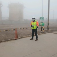 steven Arzapalo Llana