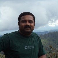 Vittal Gowda N
