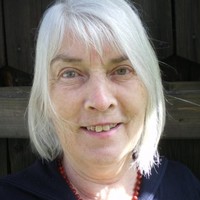 Linde Schulte-Walter