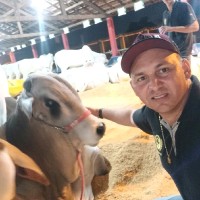 Fernando Procopio
