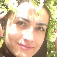 fatemeh zarmehr