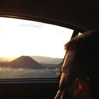 Ozcan Dasgin