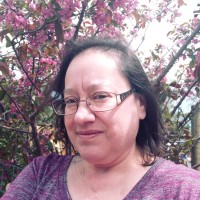 Stacy Newland