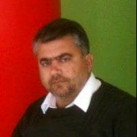 عماد حسن