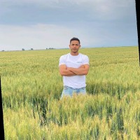 Zaur Mammadov