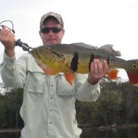 Trey Bosard