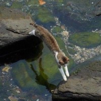 高恒举