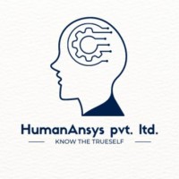 human ansys