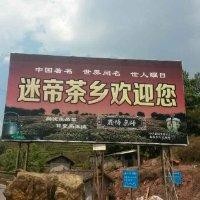 殷园光