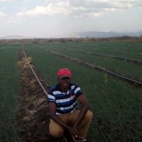 Alfred Kirimi