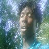 Yung Tree