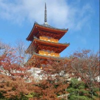 Lachlan Mcdonald