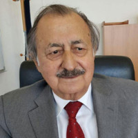 Adel Samara