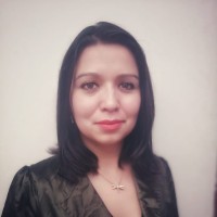 Diana Carolina Larrota Jiménez