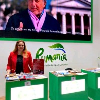 Tache Iuliana Adriana