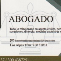 Dr. Nestor Maldonado Pajaro