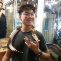 Daniel Ang