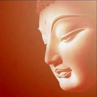 曹立波