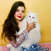 Afreen Taj
