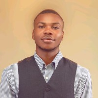 Abiodun A. Oluwapelumi