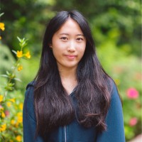 Katie Guan