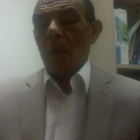 Mohamed Abd Elkhalik