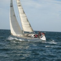 Stephen Treloar