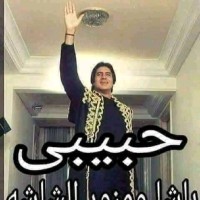 ابراهيم فوزي