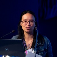 Hoang-Anh Phan