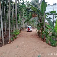 Lions T Sivakumar