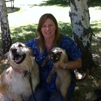 Ann McColl