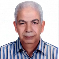 Mohamed Elfeky