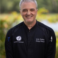 Ervin Dudushi