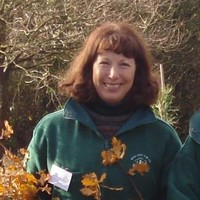 Sue Griffith