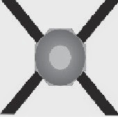 exoskeleton in