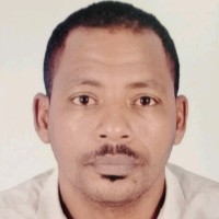 Abdelkarim Nimir