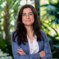 Rita Ramos de Almeida