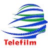 Vietnam Telefilm