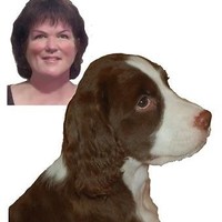 Debra Maxwell