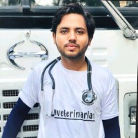 Dr. Ussam Bin Tariq