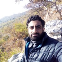 Ali Hamza