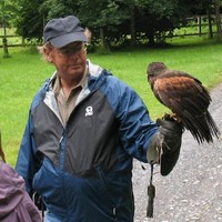 Ken McAuliffe