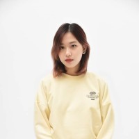 HaiAnh Nguyen