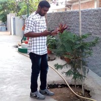 Raj Kumar