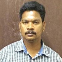 Raja siva