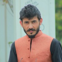 Saeed Shah