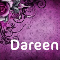 Dareen Tourkey