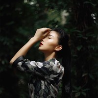 蔡鸿波